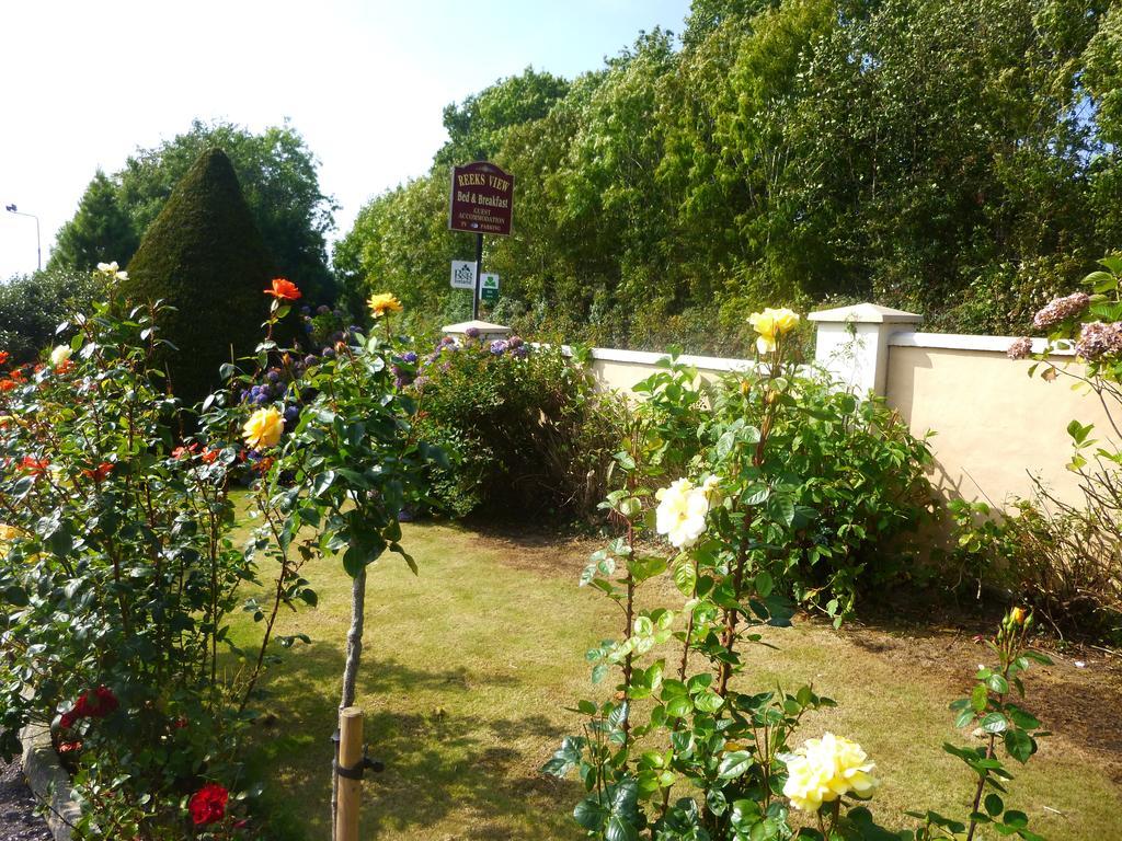 Bed and Breakfast Reeks View Teernaboul Zewnętrze zdjęcie