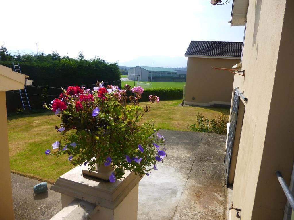 Bed and Breakfast Reeks View Teernaboul Zewnętrze zdjęcie